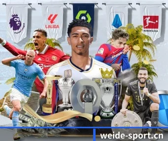 韦德体育sport APP